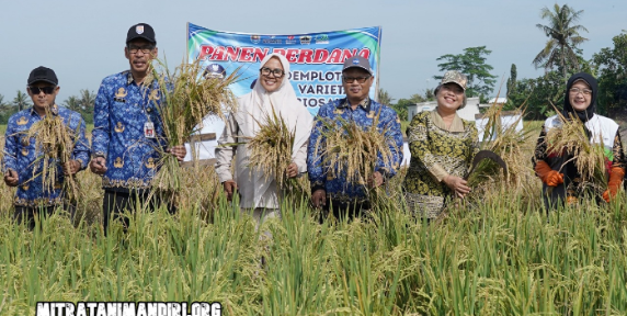 Ragam Upaya Pemkab Tingkatkan Produktivitas Pertanian